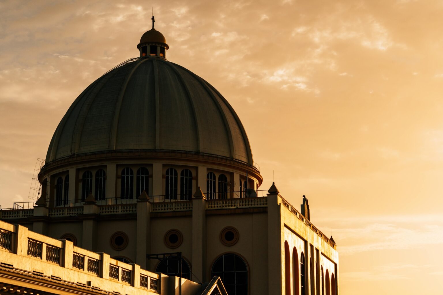 pexels-edurawpro-33192999